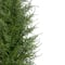 2ft. Unlit Artificial Cedar Pine Petite Arborvitae Tree in Round Pot